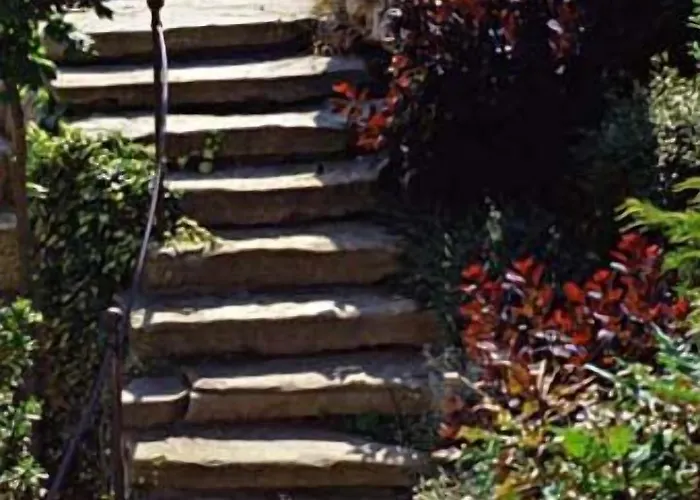 Отель Daniel 4*